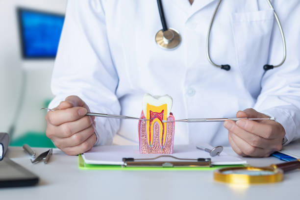 Best After-Hours Emergency Dentist in Mcswain, CA